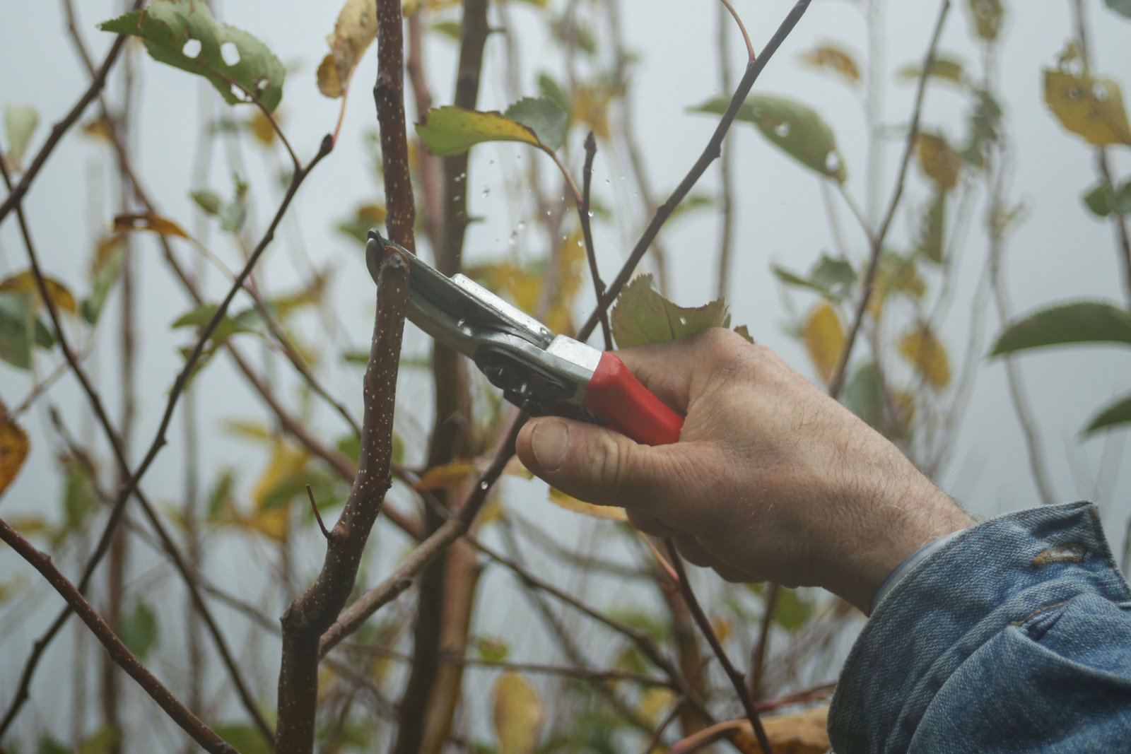 Herramientas de jardinería y ferretería agrícola